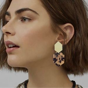 Resin hexagon dangle earrings- 2 pair
